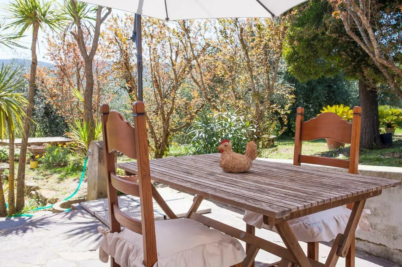 Monolocale Bel Giardino Apartment Portoferraio
